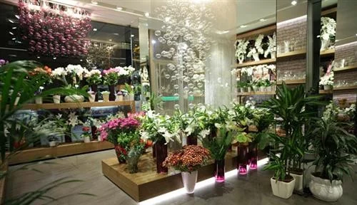 北京地铁里面的鲜花驿站自助贩卖机是属于哪家公司的（地铁站鲜花）