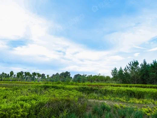 西安一共有几条地铁（地铁16号线和西安绿地新里城）2