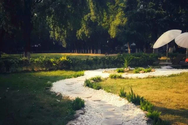 铁路打卡单位叫什么（铁路打卡照）1