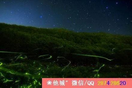 广州做地铁到佛山罗村（罗村有地铁站吗）