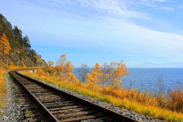 西伯利亚大铁路和贝阿铁路这两条铁路对俄罗斯经济的重要意义（俄国大铁路）3