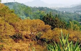 深圳皇岗口岸靠近香港哪个地铁站（香港到皇岗口岸地铁站）