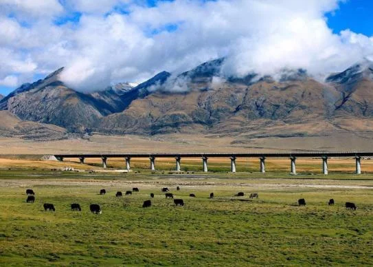 平定兰铁路列入十三五计划了吗(平定铁路最)1