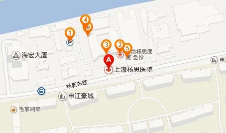 上海地铁8号线杨思站怎么到世纪大道（杨思站到中达广场地铁）2