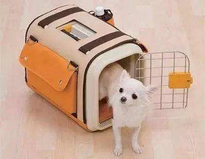 杭州地铁和公交车能不能带狗上车（杭州地铁允许带小动物吗）1