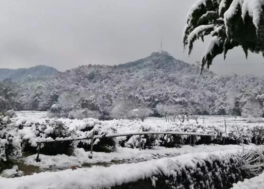 杭州有哪些面馆比较好吃（杭州菊英面店地铁）2