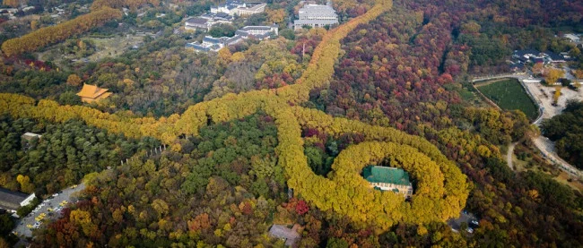 急!!!求南京三日游的最佳路线(南京五福街地铁)3
