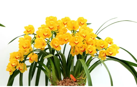 南京地铁2号线各站点名称（兰花塘到南京南地铁需要多长时间）