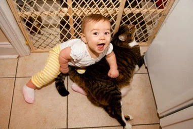 北京地铁上一男孩大骂奶奶是什么影响了孩子做出这样的行为(北京地铁摸奶)3