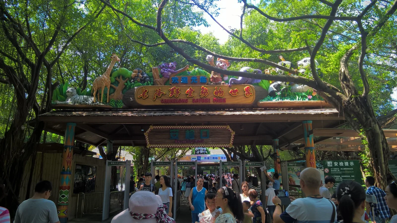 在广州坐地铁能到长隆野生动物园吗(广州长隆动物园地铁站)3