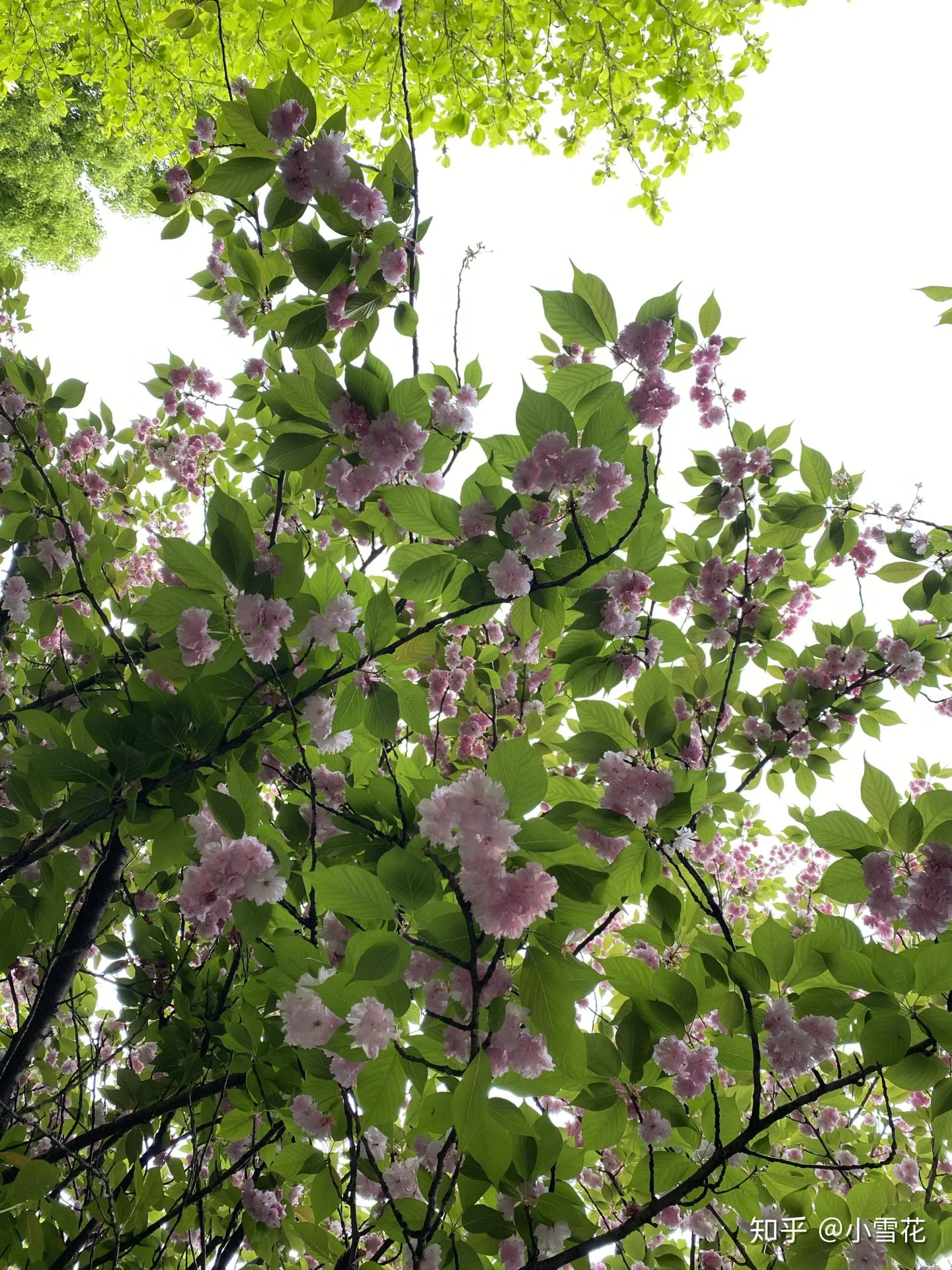 请问一下武汉市的地铁封了吗（武汉地铁解封后图片）2