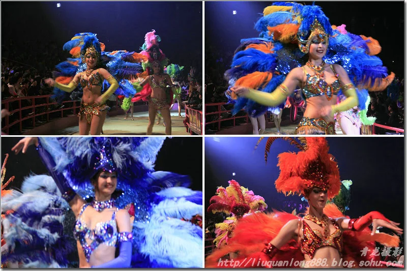 地铁汉溪长隆站到长隆国际大马戏怎么走(广州长隆大马戏地铁出口)2