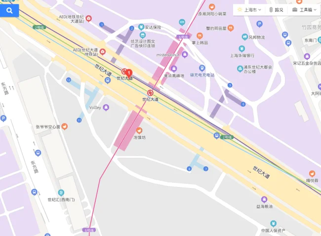 世纪大道地铁站有几条线路（世纪大道地铁站临时停车）3