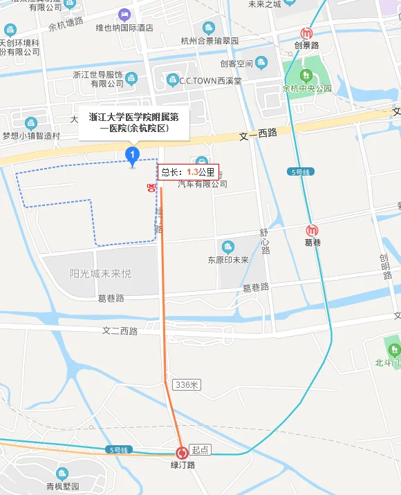 杭州地铁五号线（杭州地铁5号线绿汀路站地图）2