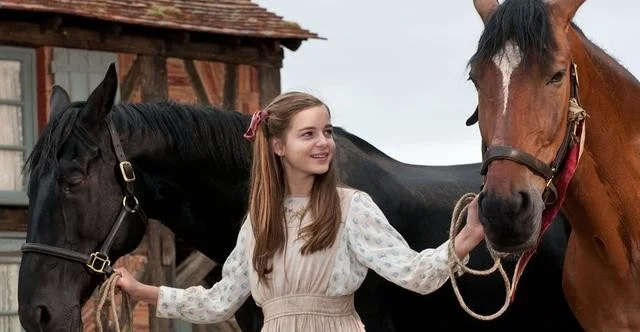 战马的遭遇的故事让我们懂得了什么(铁路救战马)2