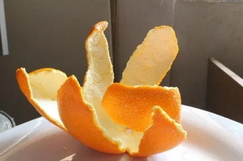 男子地铁剥蒜蒜皮撒一地结果怎么样了(天津中学生地铁捡蒜皮垃圾)3