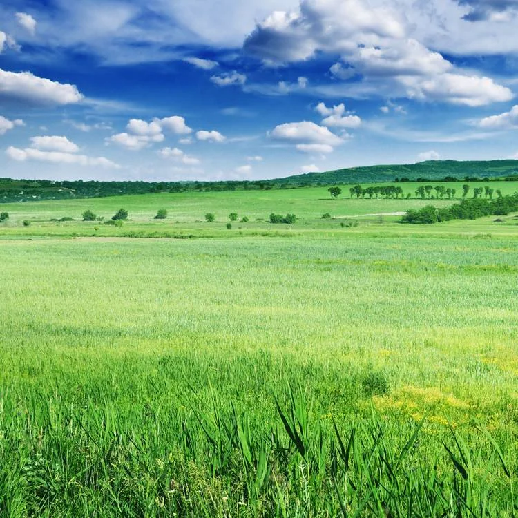 两名男子挤深圳地铁起擦碰后互殴现场的具体情况是怎样的（深圳地铁男子殴打孕妇）