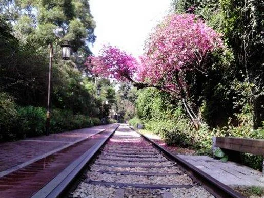 厦门铁路文化公园左边和右边的终点分别到哪里（铁路公园厦门）2