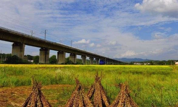 日本高铁票是全世界最贵的吗为什么（日本高铁内部）5