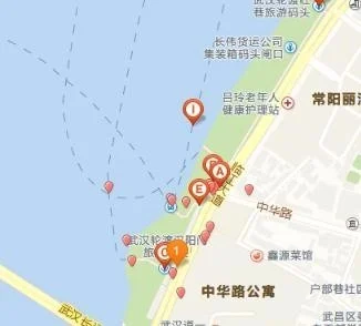 第一次来武汉怎么坐地铁（武汉坐船地铁）3