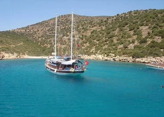 截止2020年全世界有多少个国家有地铁的建成和投入（伊兹密尔地铁到机场）