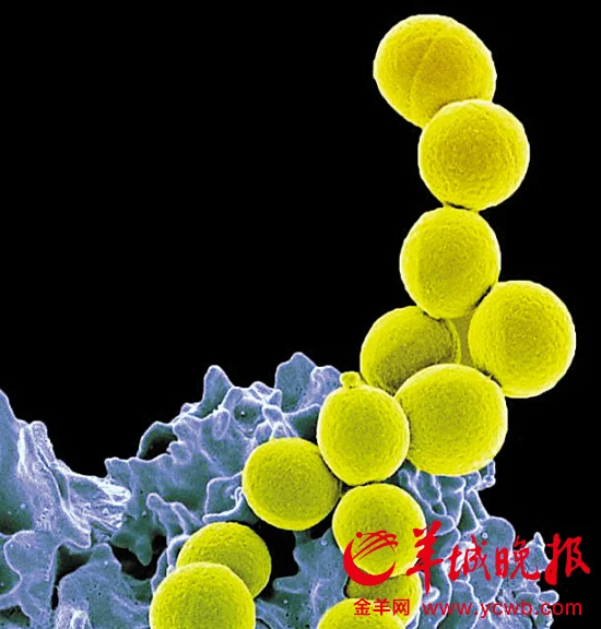 广州地铁逃脱第4题攻略（广州地铁出现超级细菌）3