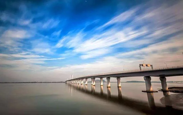 杭州地铁和公交车能不能带狗上车(杭州地铁推车)2