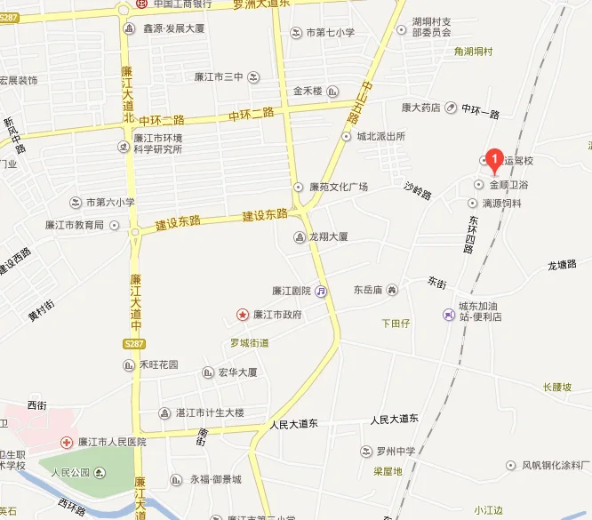 广东省廉江市有高铁吗（廉江铁路网）2