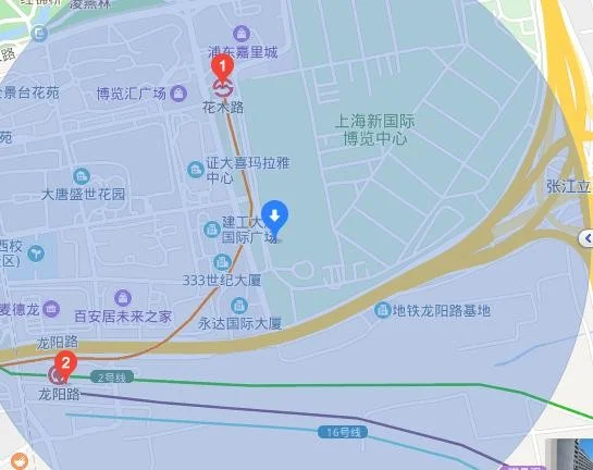 上海站到浦东新区芳甸路33弄乘地铁怎么走（地铁芳甸路有几个出口）