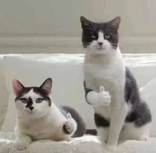 请问常州到济南的高铁 最快几小时到呀（常州到济南高铁）