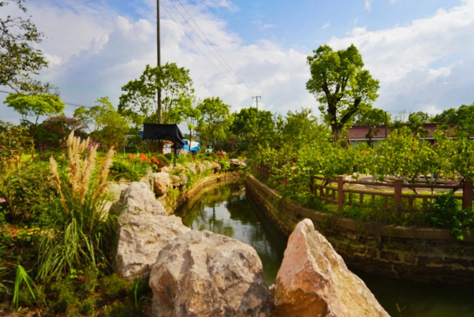 上海的农家乐一日游最好地铁能到的(上海地铁能到的农家乐)2