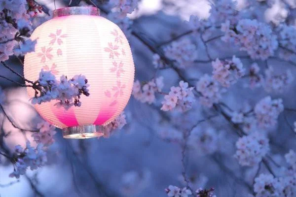 武汉坐地铁到武大看樱花怎么走（坐地铁去武大赏樱花在哪儿出口）2