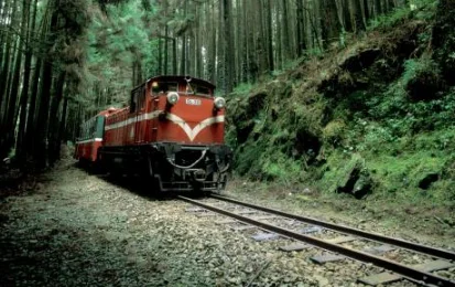 阿里山森林铁路为什么暂停（阿里山小铁路）2