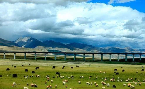 肯尼亚蒙内铁路的建成具有什么样的重大意义(疯狂铁路肯尼亚)2