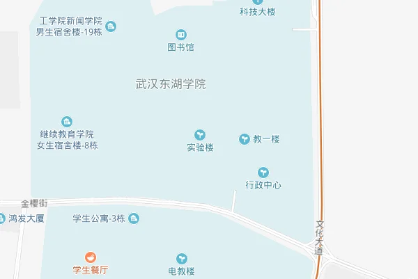 武汉东湖学院到大东门地铁怎么坐（武汉东湖学院在哪个地铁站）2