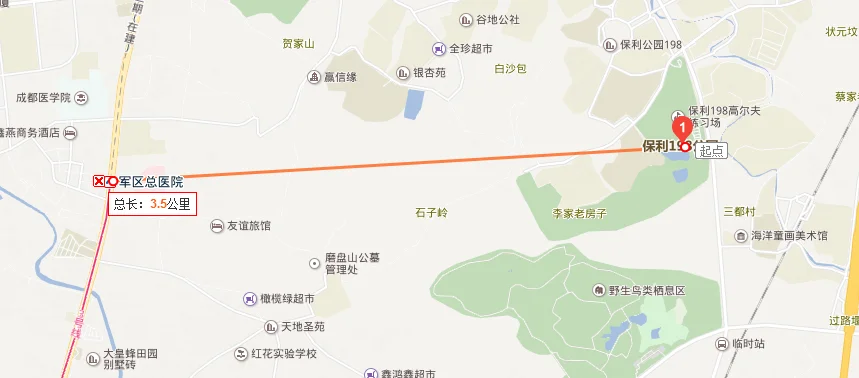 新增地铁线路何时才有新都区保利198（成都保利198公园有没有地铁站）