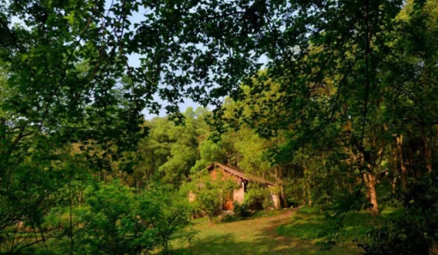 请问杭州地铁一号线经过哪几个有名的景点（杭州1号地铁附近的景点）