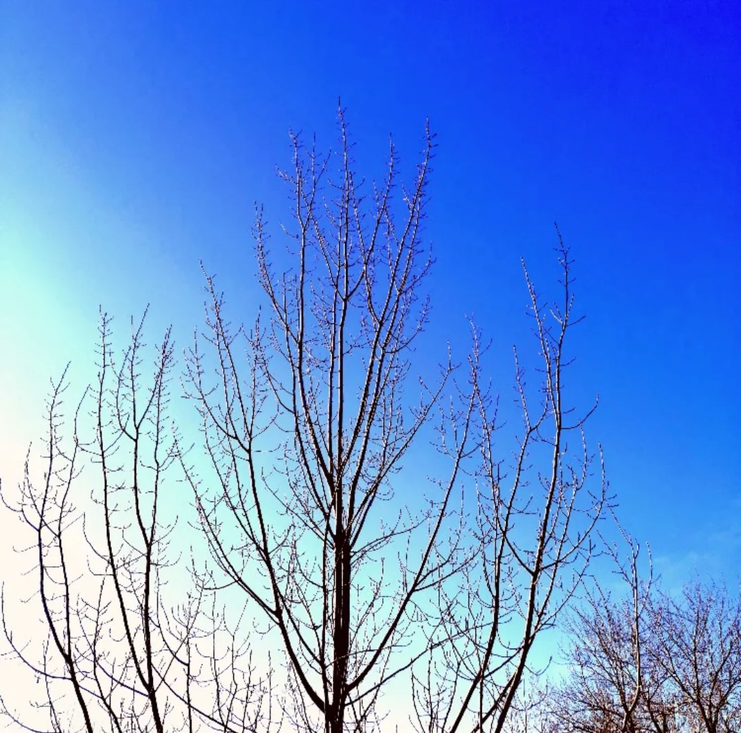 武昌火车站到察甸有地铁吗（武汉黄陵地铁）