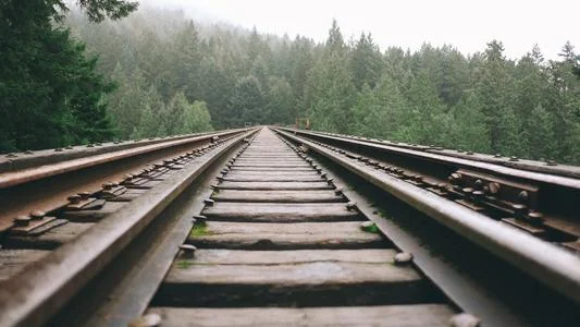 印度的铁路轨距是多少（印度铁路进口）