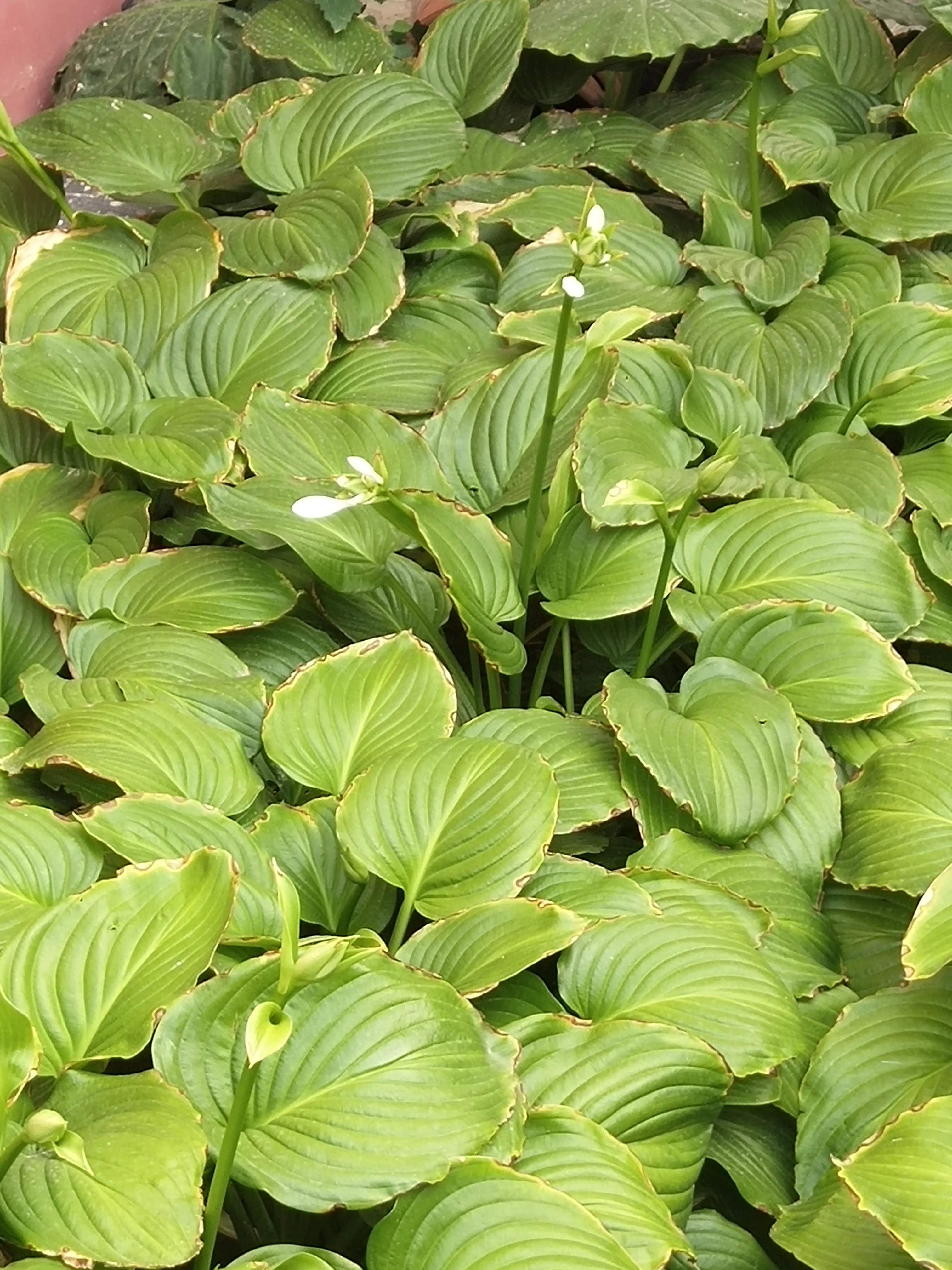 杭州地铁运营时间是如何的求告知(杭州地铁单身交流群)3