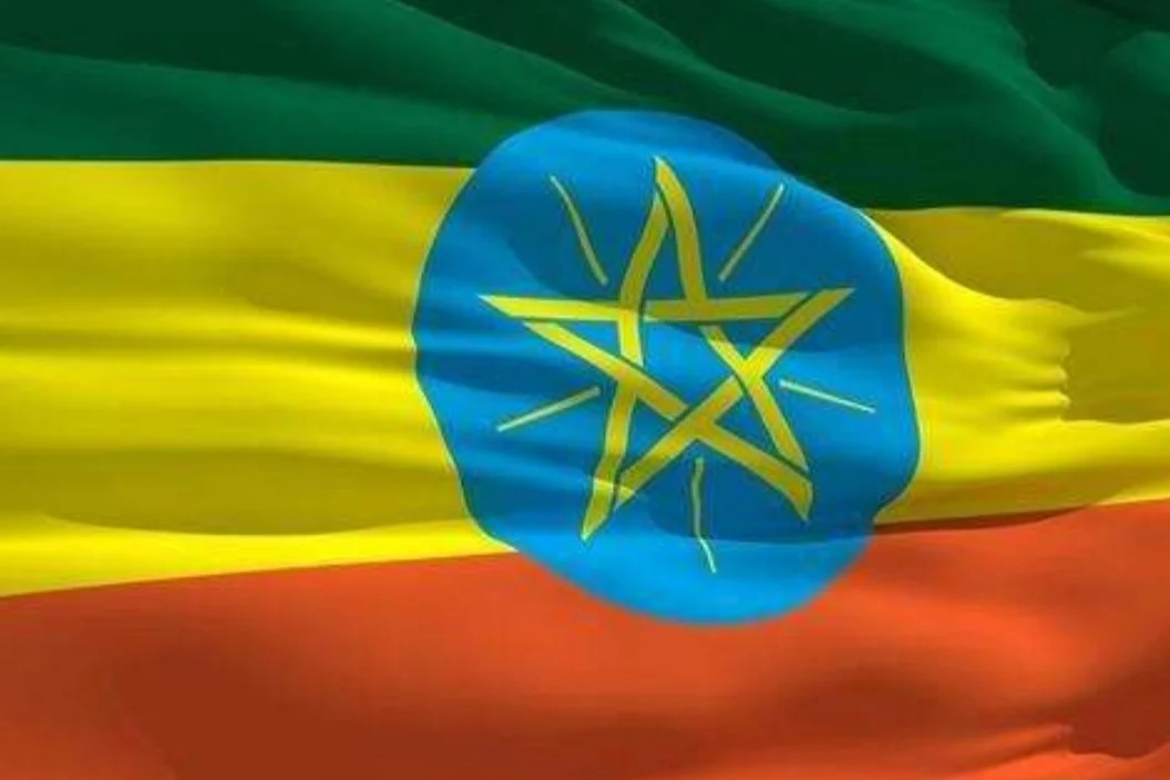 中国帮助非洲修铁路的事（埃塞俄比亚中国铁路）3