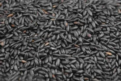 杭州婚礼纪地铁怎么坐（婚礼纪杭州地铁）