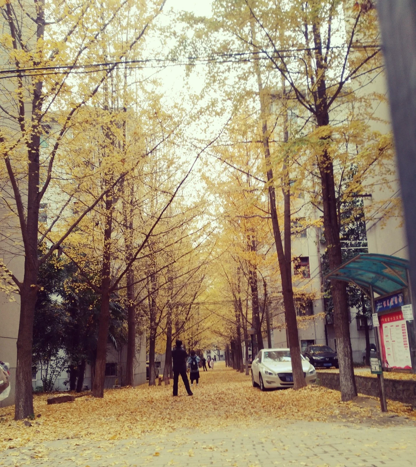 学什么专业好最适合女孩子的十大专业（武汉地铁广告）3