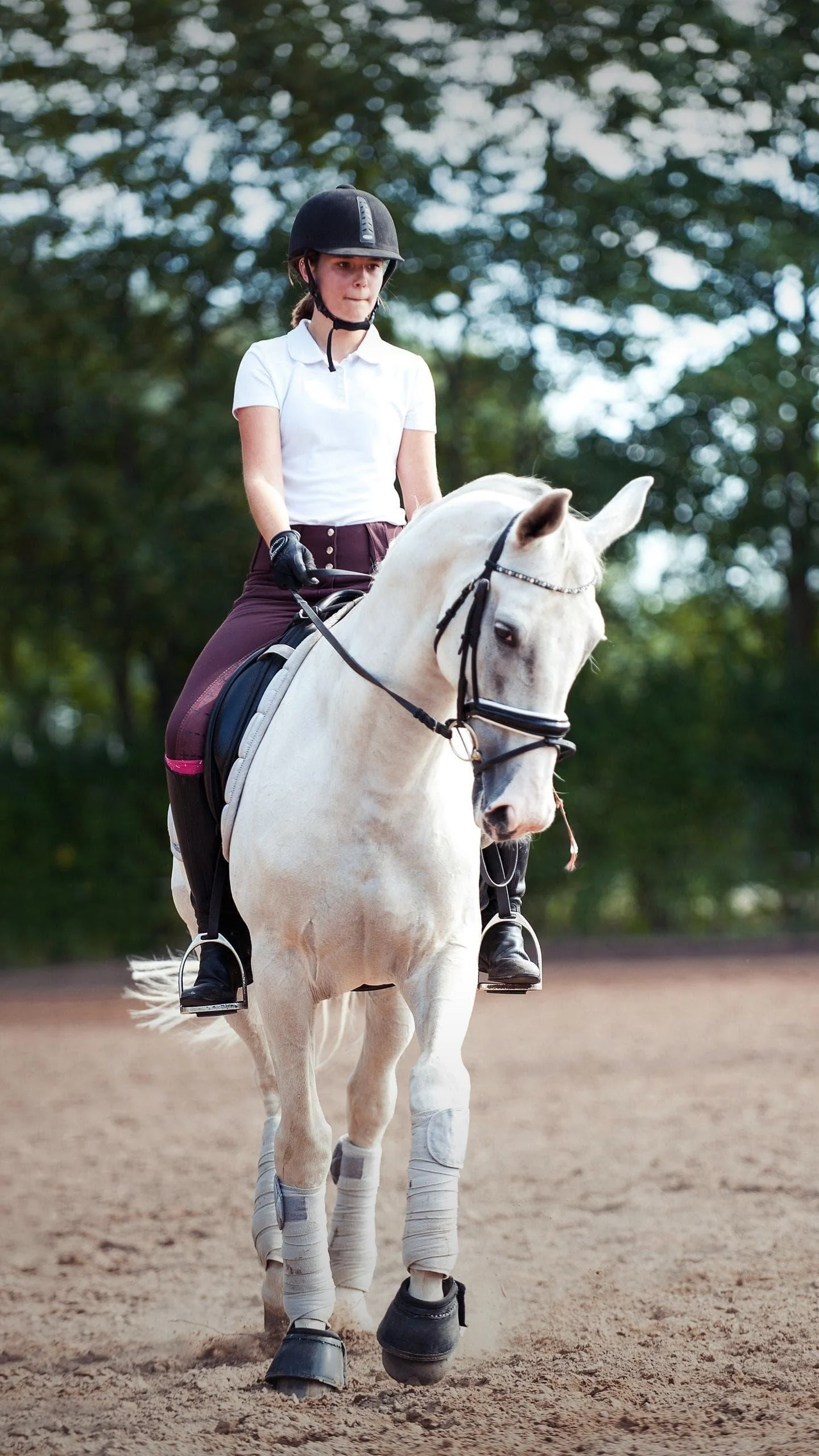 轨道交通运输专业就业方向（轨道交通船舶行业就业面）