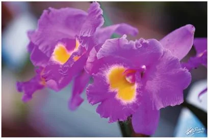 中国国际轨道交通技术展览会何时举办CRTS China （第十届中国国际轨道交通展）