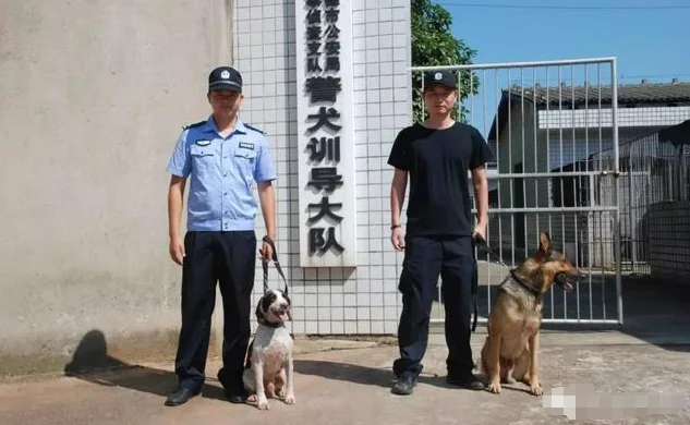 上海轨道交通警察（上海市公安局城市轨道交通分局警犬基地）2