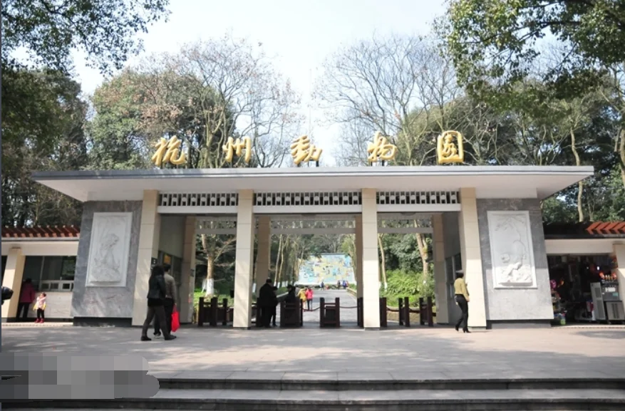 杭州东站到杭州动物园怎么走（杭州动物园地铁站在哪）2