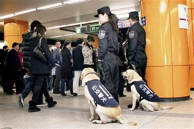 地铁骂人事件的最新进展怎么样了(北京地铁争吵)5