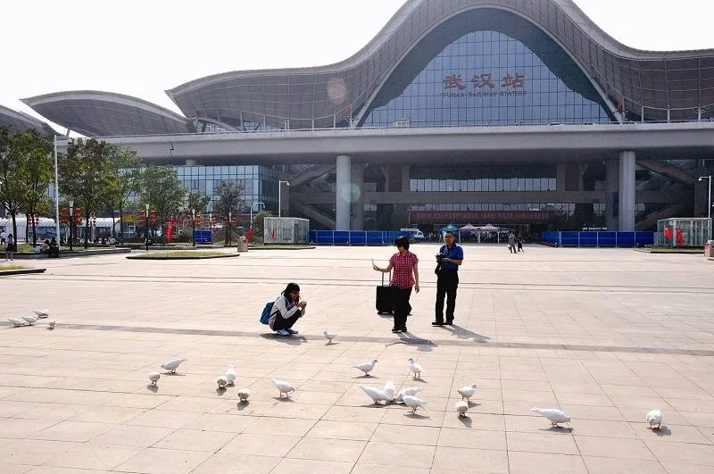 武汉地铁2号线的华中科技大学和有轨电车的华中大是一站吗（华中人才与武汉地铁）