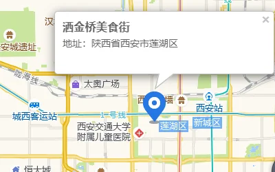 西安比较著名的小吃街在哪（洒金桥地铁站出口美食）4